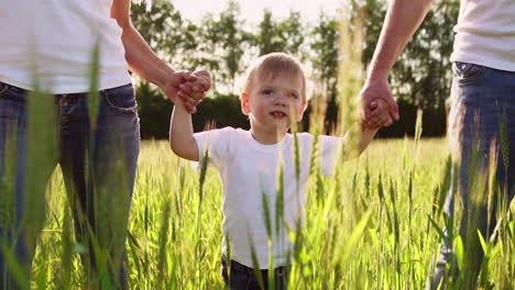The-concept-of-a-happy-family.-Close-up-of-a-family-of-three-people-walking-in-a-field-with-spikelets-of-wheat-close-up-of-a-boy