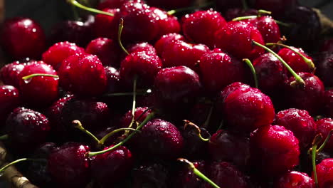 Red-ripe-sweet-cherries-close-up-with-drops-of-water-in-the-basket-on-the-grass