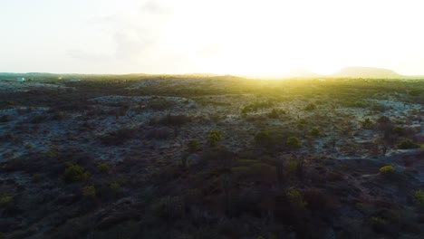 Sunset-last-light-glow-spread-across-dry-arid-shrubland-ecoregion-of-curacao