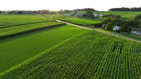 Green-fields-in-rural-USA-farms