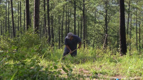 Hombre-Trabajando-En-El-Bosque-Para-Plantar-Un-árbol