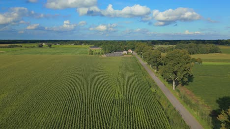 Drone-forward-over-crop-fields-planted-in-line-with-road-perspective