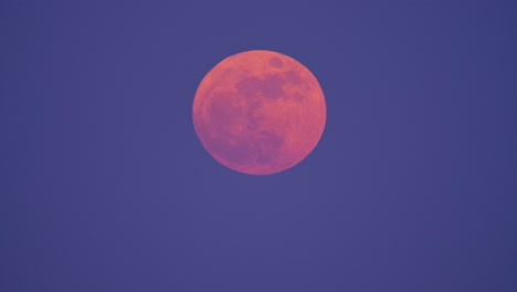Post-apocalyptic-red-orange-pink-glowing-moon-against-purple-haze-sky-floats-up-into-air