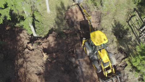 JCB-tractor-working-in-forest,-taking-out-tree-roots-drone-shot-from-above-doing-half-circle-around-tractor