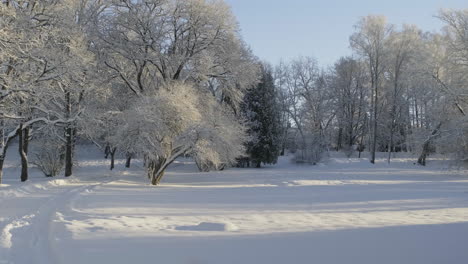 Winterlandschaft-Nordeuropas-Mit-Verschneiten-Straßen-Und-Frostigen-Bäumen
