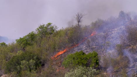 A-hillside-fire-with-enormous-heat-during-summer-in-Portugal