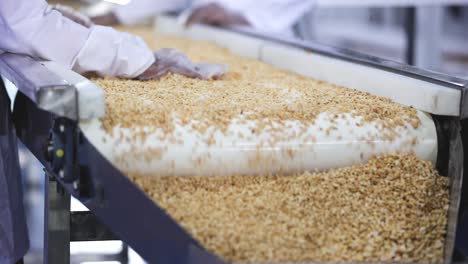 peanut-butter-factory,-the-best-quality-peanut-kernels-are-being-chopped-into-fine-pieces-and-coming-into-the-conveyor-belt-and-the-waste-is-being-removed-by-the-workers