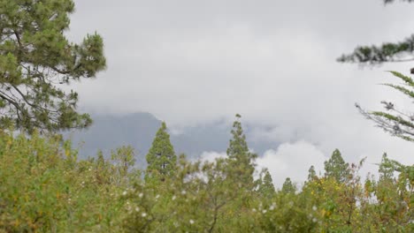 Paisaje-Montañoso-Brumoso-Y-Vegetación-Verde-De-La-Isla-De-Tenerife