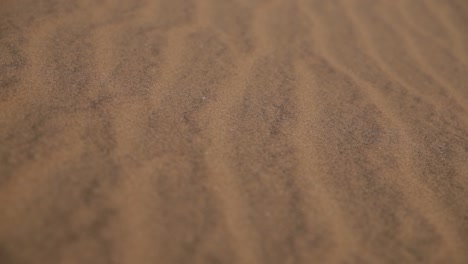 Close-up-focus-pull-of-sand-waves-on-a-dune-in-the-Namib-desert