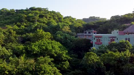 Drone-shot-hotel-inside-vegetation