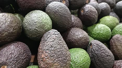 Green-and-ripe-avocados-in-a-grocery-store