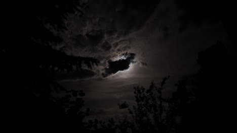 Moon-covered-by-dark-clouds-at-night,-time-lapse-with-cloudy-landscape-and-moonlight-motion-behind-fir-tree-silhouette,-dramatic-sky-at-night