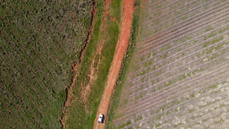 farmer-driving-white-pick-up-truck-on-dirt-road-in-farmland