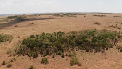 Africa-Aerial-drone-shot-of-dry-arid-Landscape-in-Masai-Mara-in-Kenya,-High-Up-View-of-Vast-African-Scenery-from-Above,-Wide-Angle-Establishing-Shot-of-Thicket-of-Bushes-and-Savanna