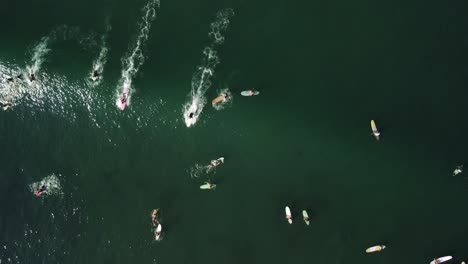 Los-Surfistas-Atrapan-Olas-En-La-Superficie-Del-Océano-Turquesa,-Vista-Superior