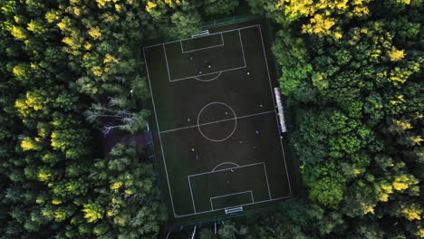 Luftaufnahme-über-Einem-Fußballfeld-Inmitten-Sonnenbeschienener-Bäume-–-Von-Oben-Nach-Unten,-Drohnenaufnahme