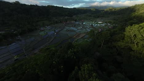 Cinematic-FPV-drone-shots-gliding-over-trees-in-Indonesia,-descending-into-a-green-valley-with-expansive-rice-fields-during-the-golden-hour