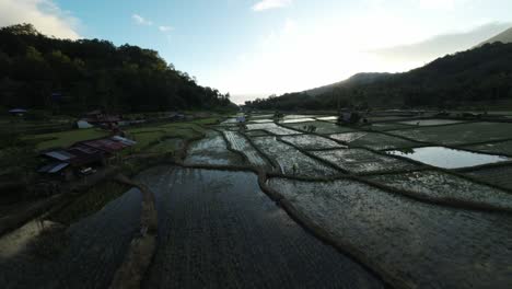 Cinematic-FPV-drone-shot-flying-over-rice-fields-in-Indonesia-during-the-golden-hour