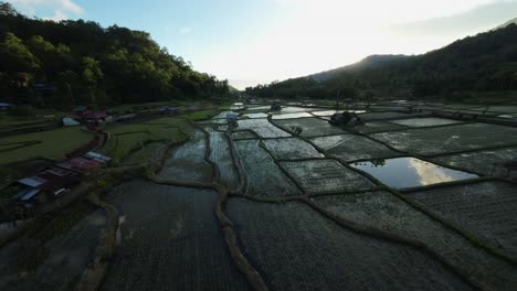 Filmische-Drohnenaufnahme,-Die-Mit-Einem-Fackel-Bei-Sonnenuntergang-über-Weitläufige-Reisfelder-In-Indonesien-Fliegt