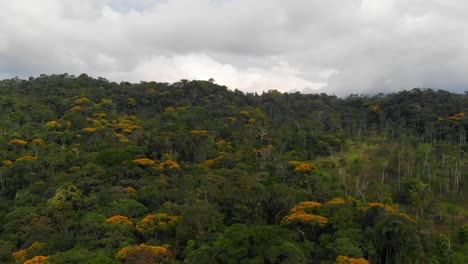 Ein-Blick-Aus-Der-Vogelperspektive-Auf-Ecuadors-Amazonien