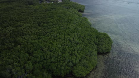 Scenic-Aerial-Shot-of-the-Coastline-with-Mangrove-Forests-of-Nusa-Lembongan-in-Bali,-Indonesia