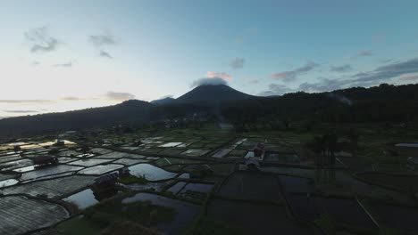 Filmische-Drohnenaufnahme-Mit-Einer-Langsamen-Aufwärtsbewegung-über-Ausgedehnten-Reisfeldern-In-Indonesien-Mit-Einem-Atemberaubenden-Vulkan-Und-Einem-Sonnenuntergang