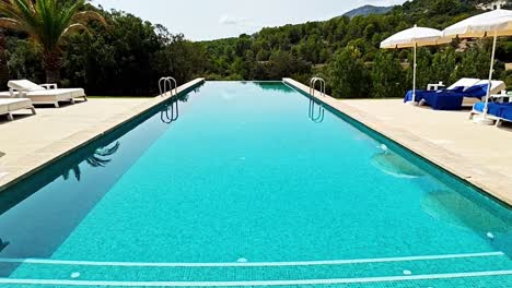nice-infinity-pool-overlooking-the-forest
