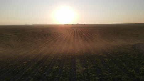 Aerial-view-of-Sunset-in-a-field