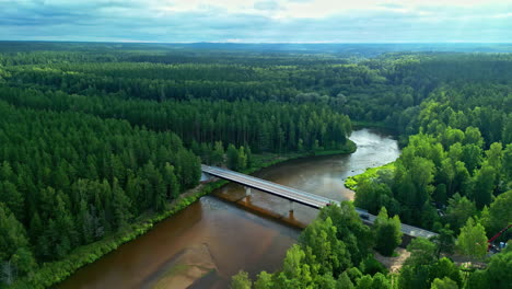 Aerial-Of-A-Bridge-Over-The-River-Surrounded-By-Pine-Trees-In-The-Forest