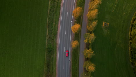 Red-car-driving-through-a-green-landscape-in-sunset,-camera-folllowing-in-top-shot