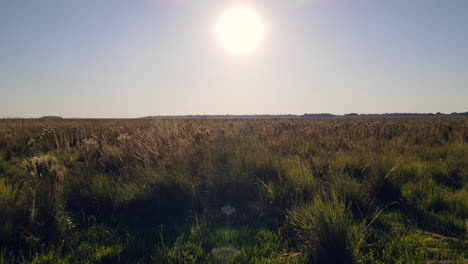 Sonnenuntergang-Auf-Einem-Feld-In-Argentinien