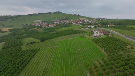 Flying-over-vineyards-during-sunset-in-Italie