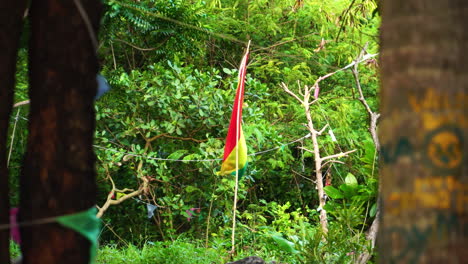 The-flag-of-the-Rastafari-flies-amongst-some-trees-on-Koh-Phi-Phi-Island-in-Thailand