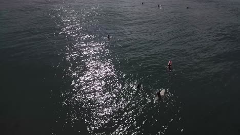 Drone-footage-flying-over-group-of-surfers-in-the-water-as-they-wait-for-waves,-Costa-Rica