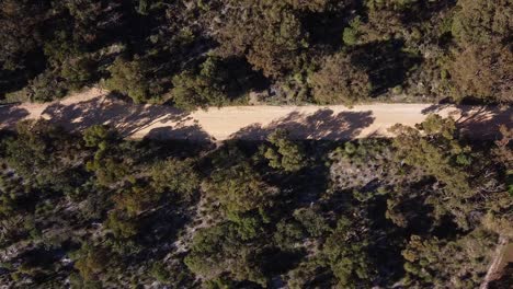Descending-Aerial-View-Over-Dirt-Bike-Rider-Riding-Along-Trail-Between-Trees