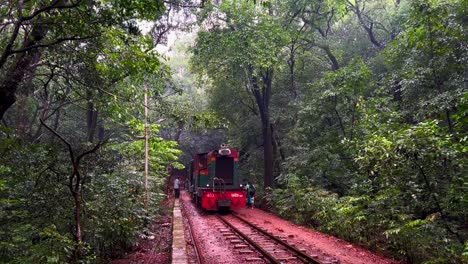 Lonavala's-train-winds-through-lush-forests,-a-mesmerizing-tapestry-of-nature's-splendor