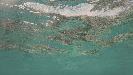 Cinematic-underwater-shot-of-the-water-surface-in-slow-motion-with-very-clear-waters-in-blue,-120FPS,-4K,-Slomo