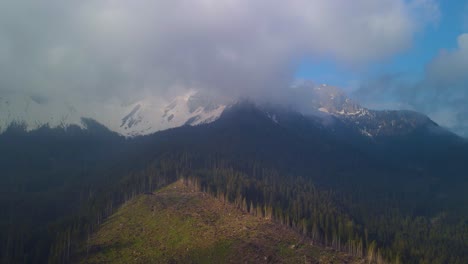 Der-Atemberaubende-Panoramablick-Auf-Den-Höchsten-Schneebedeckten-Berg-In-Kombination-Mit-Dem-Weitläufigen-Wald-Bietet-Ein-Wahrhaft-Filmisches-Spektakel