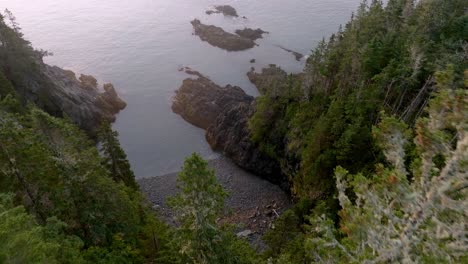 Gorgeous-Aerial-Descent-Through-Forest-Reveals-Maine's-Rocky-Shoreline