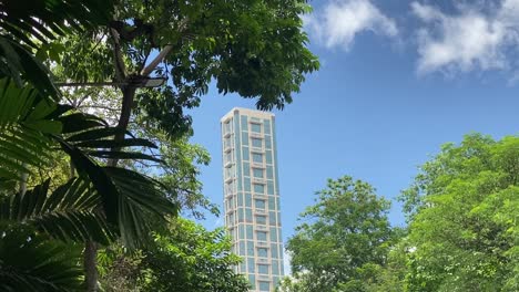 Low-angle-shot-of-The-42,-tallest-building-in-Kolkata-visible-through-trees-with-blue-sky-in-the-background-on-a-sunny-day
