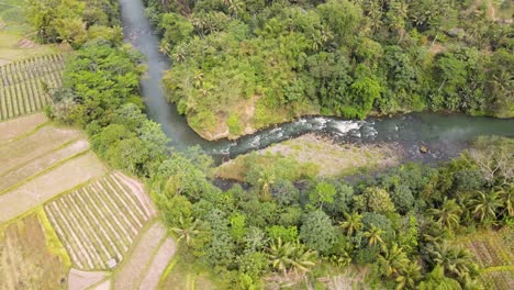 El-Río-Salvaje-Natural-Elo-Serpentea-A-Través-Del-Paisaje-Indonesio-Y-Campos-Agrícolas.