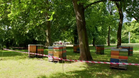 Beehives-in-a-city-park-in-a-total-shot