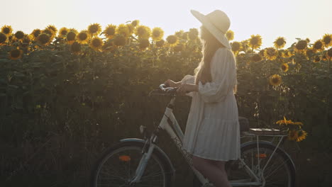 Weißes-Mädchenkleid-Mit-Fahrrad-In-Der-Sonnenblumenlandschaft-Zur-Goldenen-Stunde-In-Zeitlupe