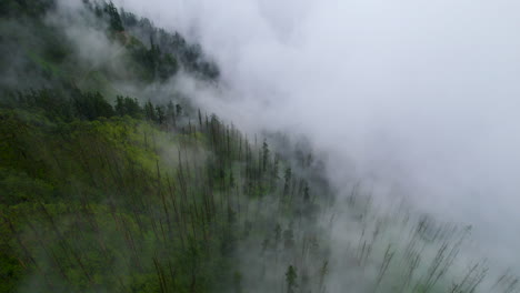 Clouds-cover-the-dense-forest-in-Nepal-along-with-the-landscape-and-green-vegetation