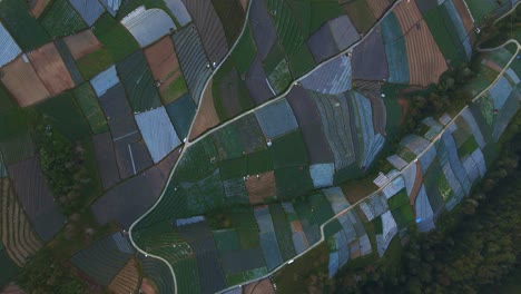 Colorful-land-plots-of-hilly-area-of-Indonesia,-aerial-drone-view