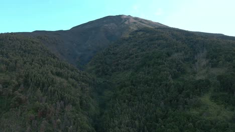 Bosque-Que-Cubre-Una-Montaña-Sumergida-Con-área-Quemada-Visible,-Vista-Aérea-De-Drones