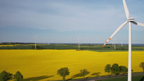 Luftaufnahme-Aus-Einem-Hohen-Winkel---Windturbinen-Inmitten-Eines-Blühenden-Rapsfeldes,-Das-Erneuerbare-Elektrische-Energie-Erzeugt
