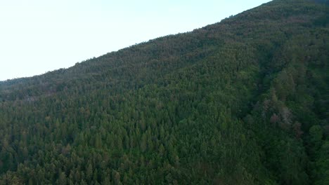 Dense-forest-on-side-of-massive-mountain,-aerial-drone-view