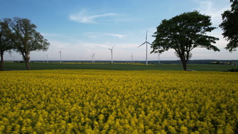 Cars-Traveling-on-Countryside-Road-Between-Yellow-Rapeseed-and-Green-Rye-Fields-in-Spring-with-a-View-of-Wind-Turbine-Farm-in-Background---Aerial-low-angle-dolly-right---Car-Trip-Adventure-in-Poland