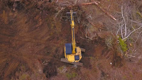 Digger-in-Action:-Clearing-Slash-in-a-Logged-Forest